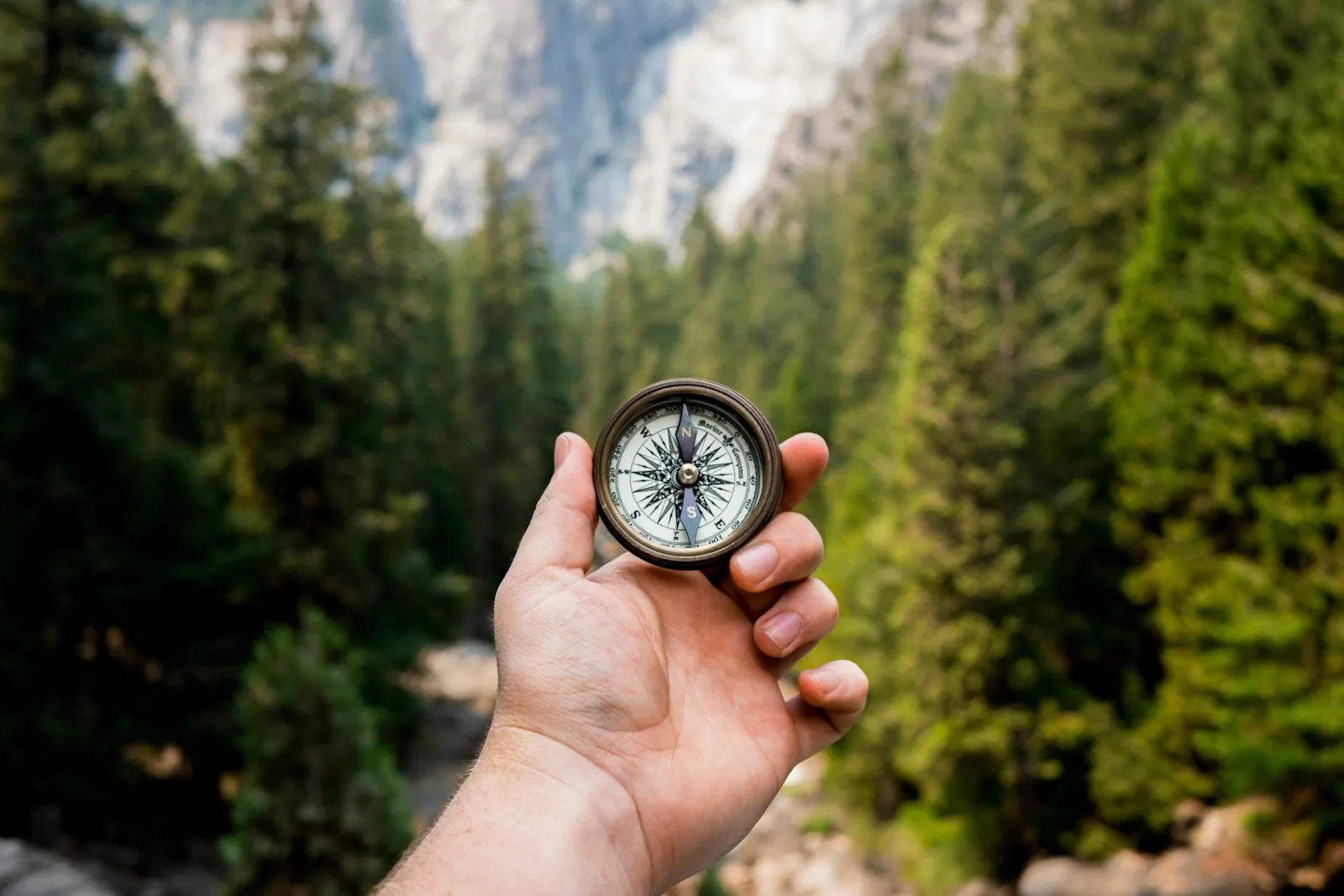 Person holding a compass while facing green pine trees