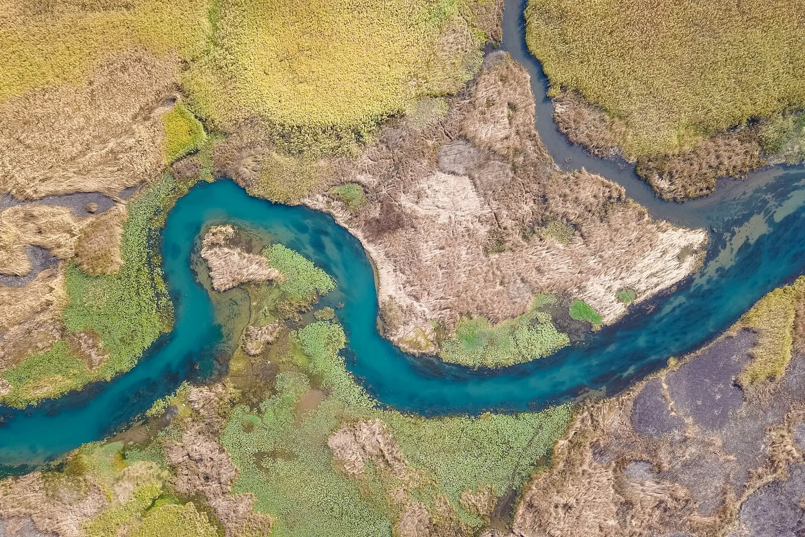 Aerial photography of winding river